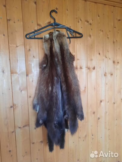 Шкуры Норки, Соболь бургузинский