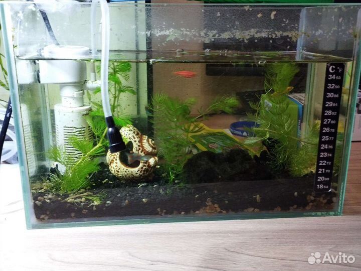Аквариум