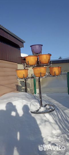 Петуньевое дерево