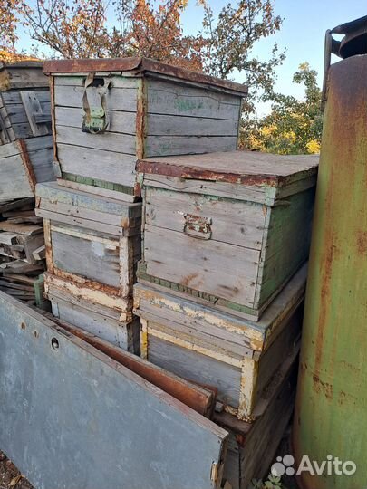 Домики для пчёл