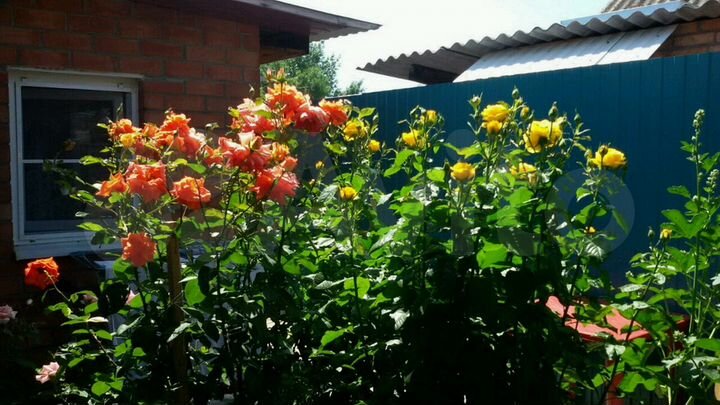 Дом 68 м² на участке 2 сот.