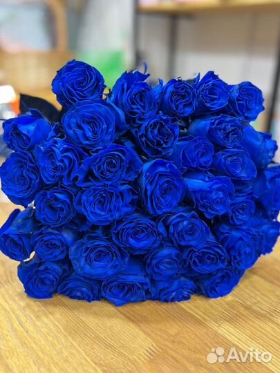 Синие розы