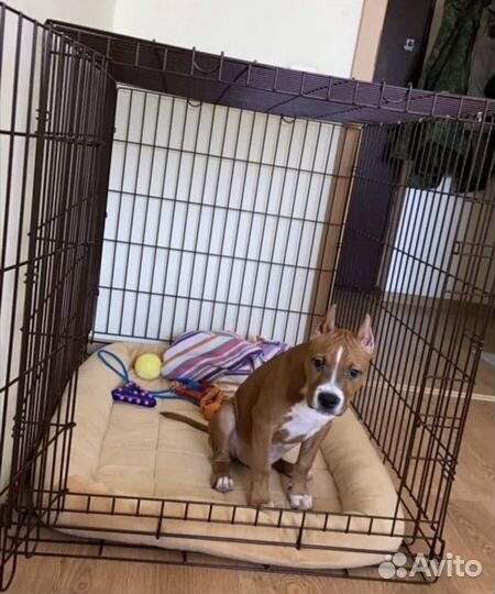 Клетка большая для собак номер 5. Доставка