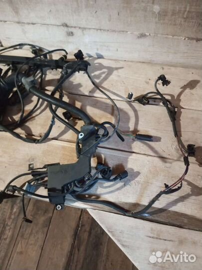 Проводка двигателя м54в25. бмв е60