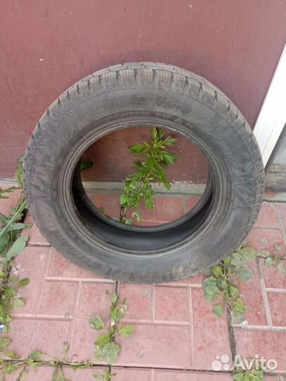 Cordiant Winter Drive 195/65 R15 91T