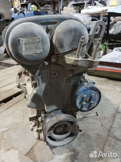 Двигатель ford focus 2 1.6 100 л с shda