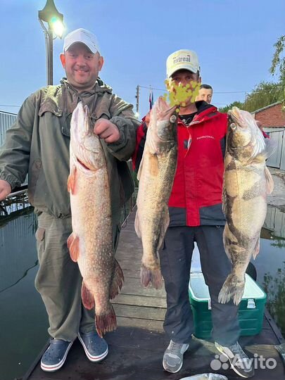 Рыбалка на Веселовском вхр.(Маныч) 