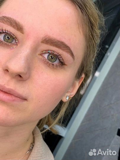 Базовый курс бровист