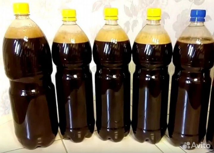 Квасное сусло