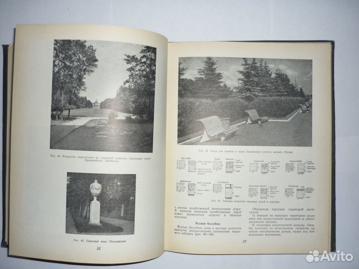 Лунц Л.Б. Зеленое строительство 1952 В наличии