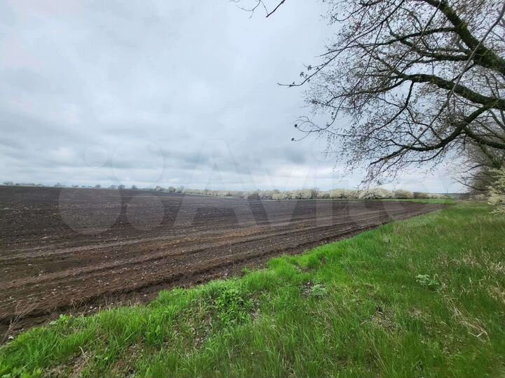 Участок 50 сот. (ИЖС)