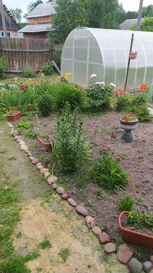 Дом 60 м² на участке 6 сот.