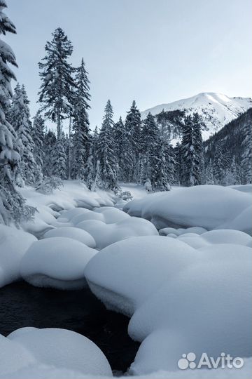Экскурсия на Мамай