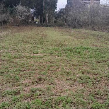 Участок 1600 м² (Грузия)