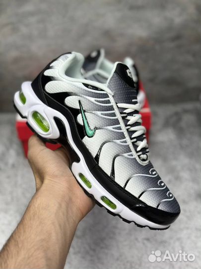 Кроссовки Nike Air Max Tn Plus