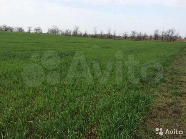 Участок 5,57 га (СНТ, ДНП)