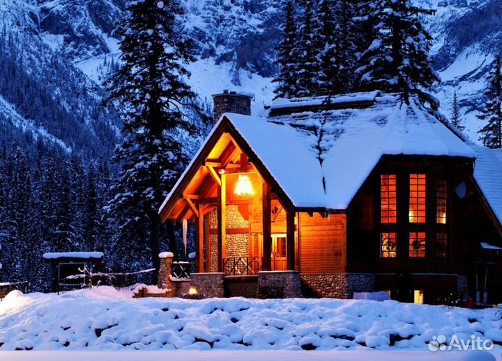 Проект освоения лесов, лесная декларация, отчеты