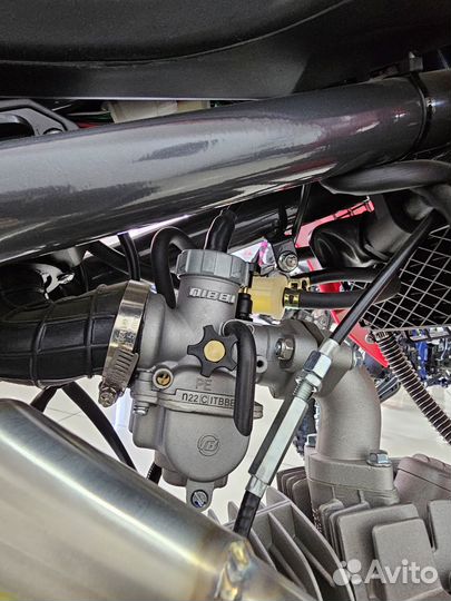 Питбайк Apollo RXF freeride 150X-LE 19/16