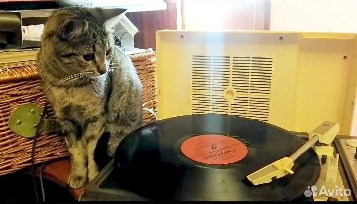 Проигрыватель пластинок