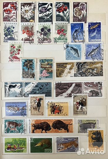 Марки Фауна, Флора, Природа, СССР