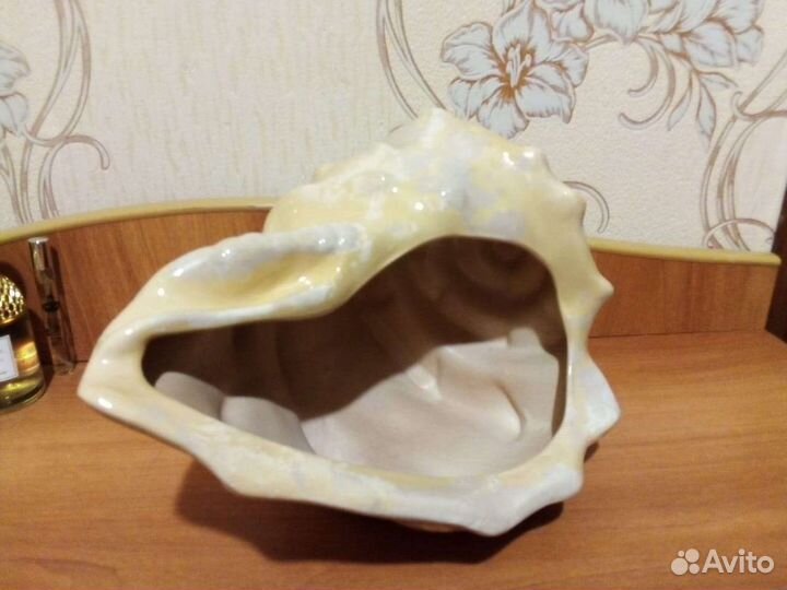 Ракушка сувенир