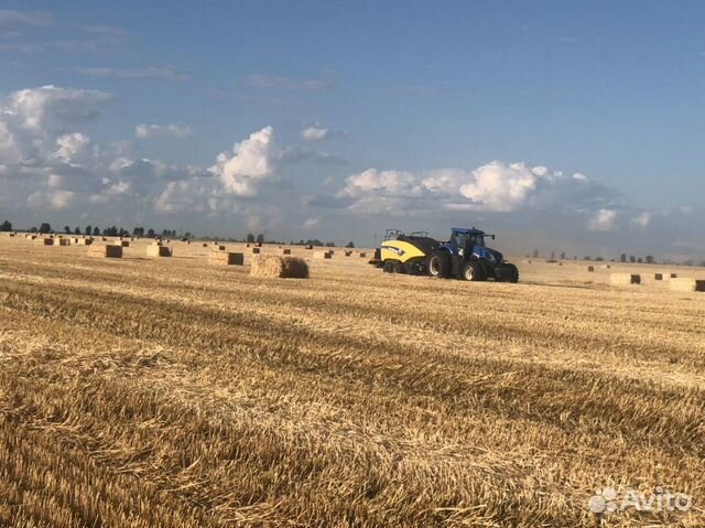 Сено Солома