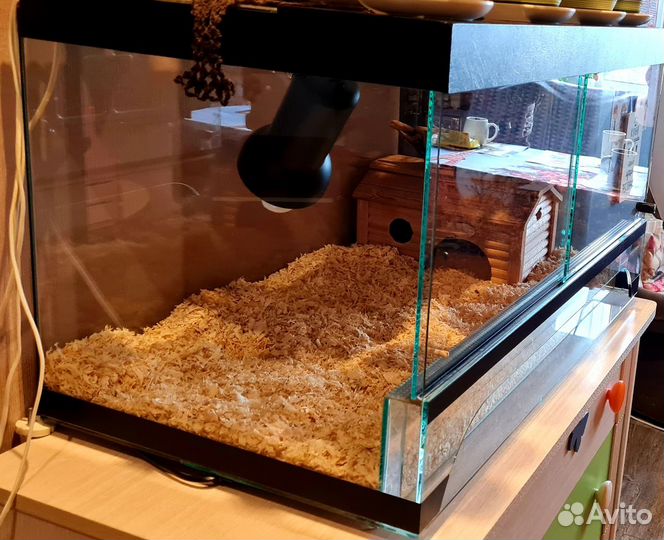 Террариум для сухопутной черепахи