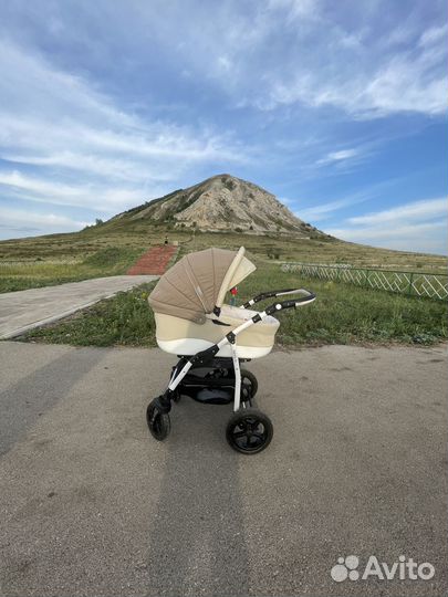 Коляска 2 в 1 verdi