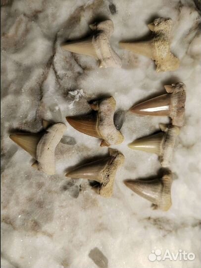 Камни и минералы