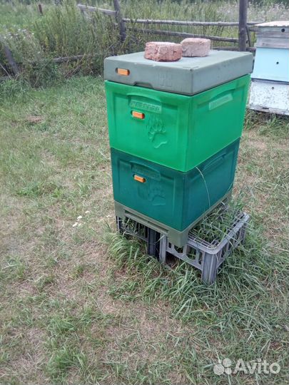 Улий для пчел