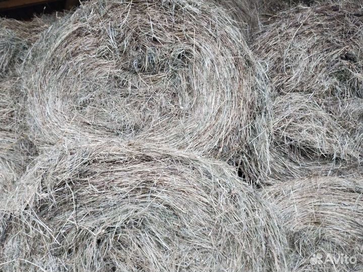 Сено луговое в рулонах
