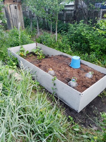 Дача 36 м² на участке 4,7 сот.