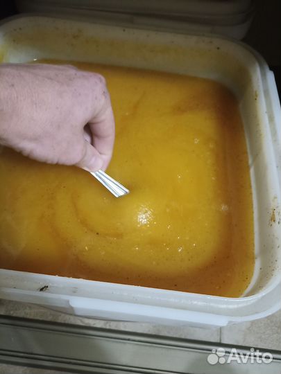 Мед оптом подсолнух