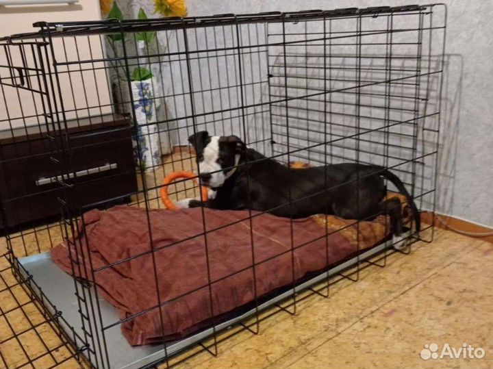 Клетка вольер для собак новая