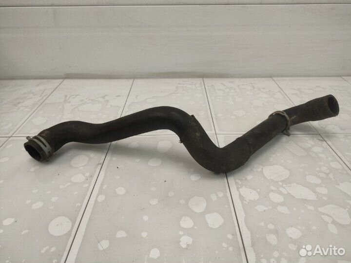 Патрубок радиатора верхний Ford Focus 3 iqdb 2013