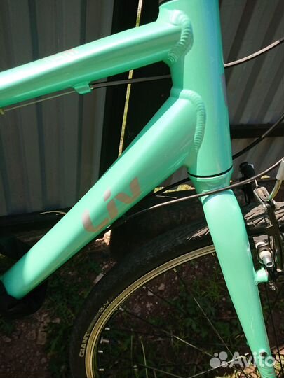 Giant Alight 3 DD 2019