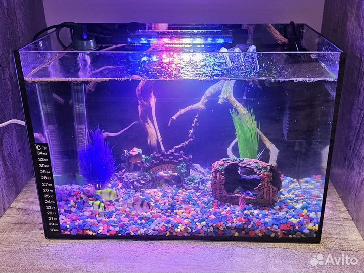 Аквариум с рыбками