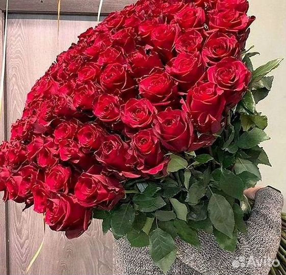 Высокие розы Гигантские розы с доставкой