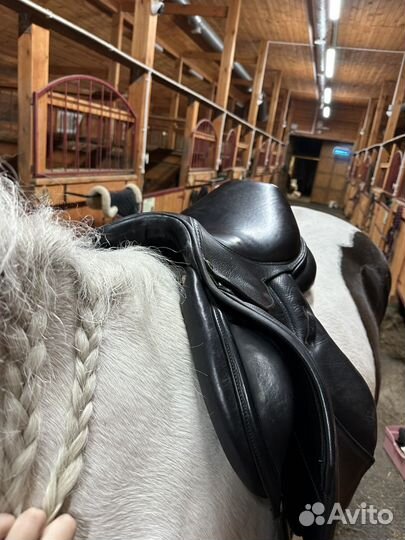 Седло конкурное