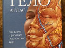 Книга атлас анатомия человека