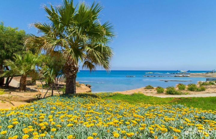 Тур на Cyprus 7 дней