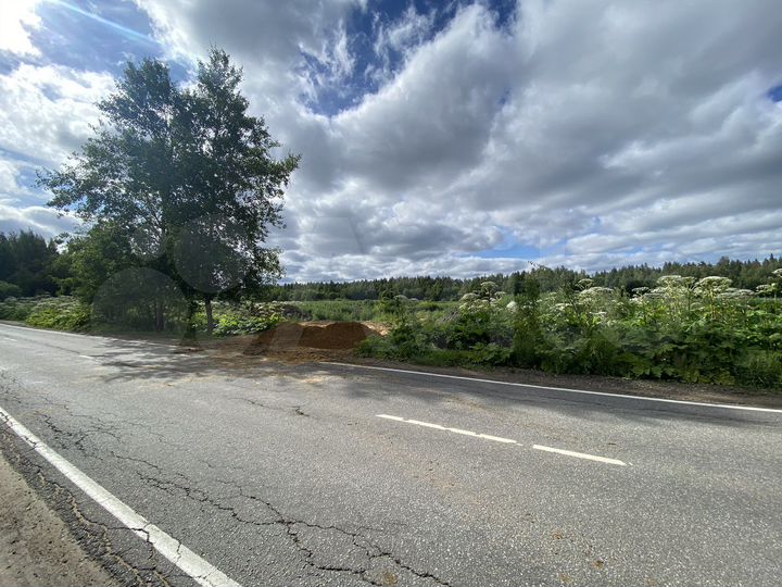 Участок 100 сот. (СНТ, ДНП)