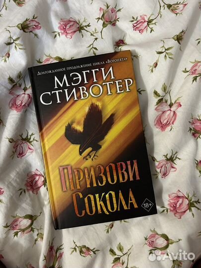 Мэгги стивотер Призови сокола