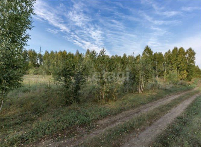 Участок 12 сот. (ИЖС)