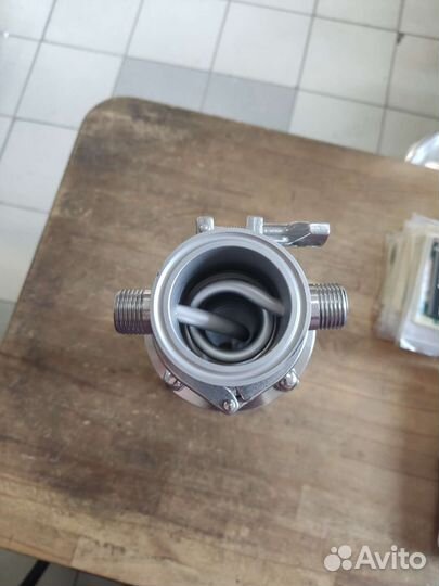 Димрот в стеклянной царге 2