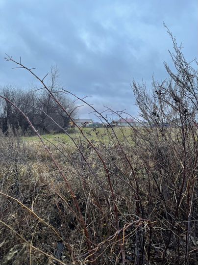 Дом 30 м² на участке 30 сот.