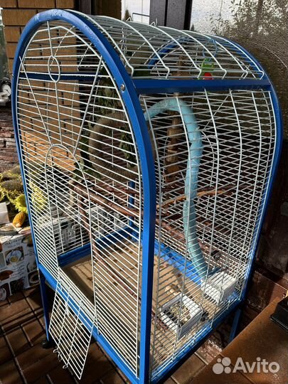Клетка для попагая