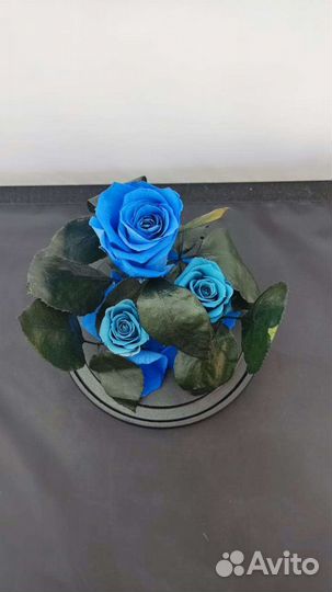 Роза в колбе