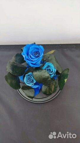 Роза в колбе