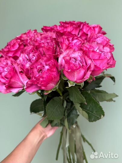 Премиум пионовидна роза 50см,Доставка